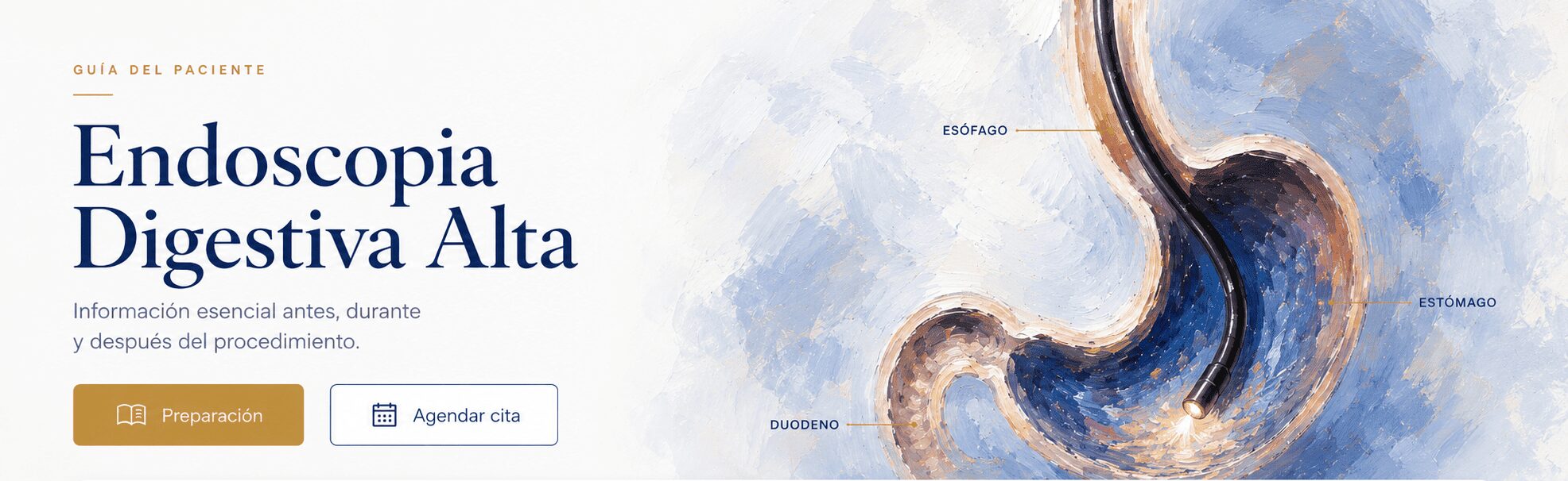 Endoscopia Digestiva Alta — Dr. Ricardo Cepeda